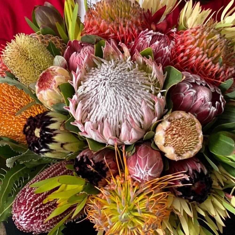 Meet your Posher, Cheryl